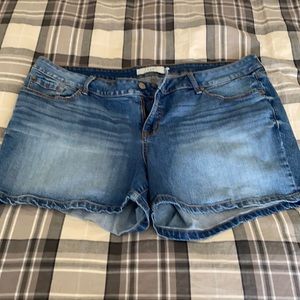 Torrid denim shorts